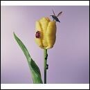 おいしいパスタがあると聞いて