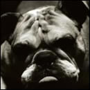 Everything you know is wrong