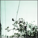 待ちくたびれて朝がくる