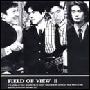 FIELD OF VIEW II