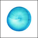 空中 ベスト・オブ・フィッシュマンズ