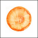 宇宙 ベスト・オブ・フィッシュマンズ