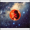BABY UNIVERSE