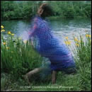 THE STORIES OF ADVENTURE