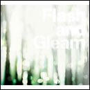 Flash and Gleam～Flash side～