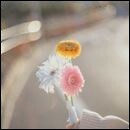 なんかいい日になる気がする