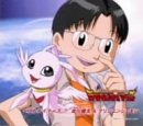 白いカモメ