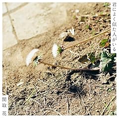 また今日もダメでした