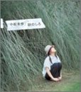 砂のしろ
