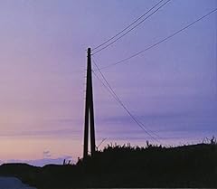 飛べない鳥