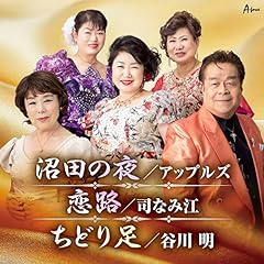 沼田の夜