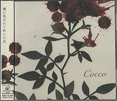 Why do I love you