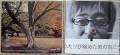 バイバイロマンス