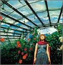 ライラックの花束を