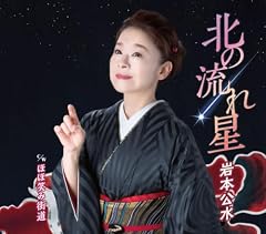 北の流れ星