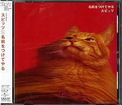 鈴虫を飼う