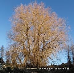 アマイオモニ