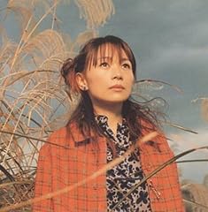 飛べない空