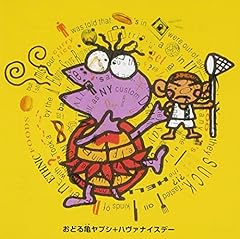 ハヴァナイスデー