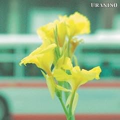 夏なんです
