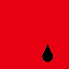 歌詞ショート - あなたに贈る花言葉④