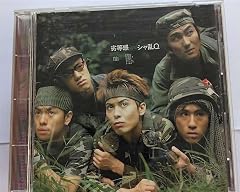 はしゃぎ過ぎた夏