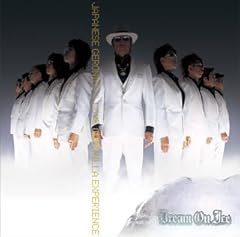 眠るライオン