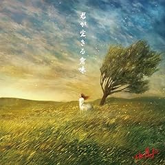 疾風怒濤 - Mind Riot -