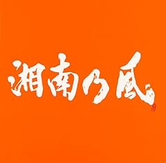 Z ～俺等的逆襲～