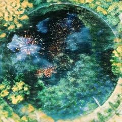 伝えたかったこと