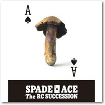 ジャケット画像2です。 